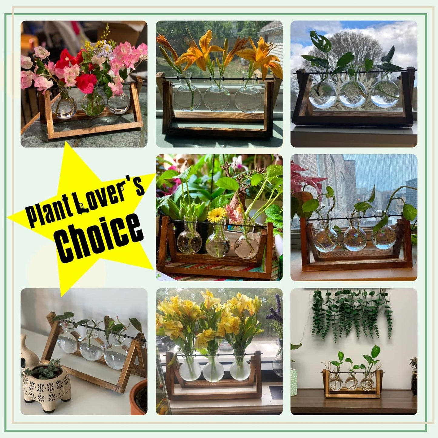 XXXFLOWER Plant Terrarium with Wooden Stand